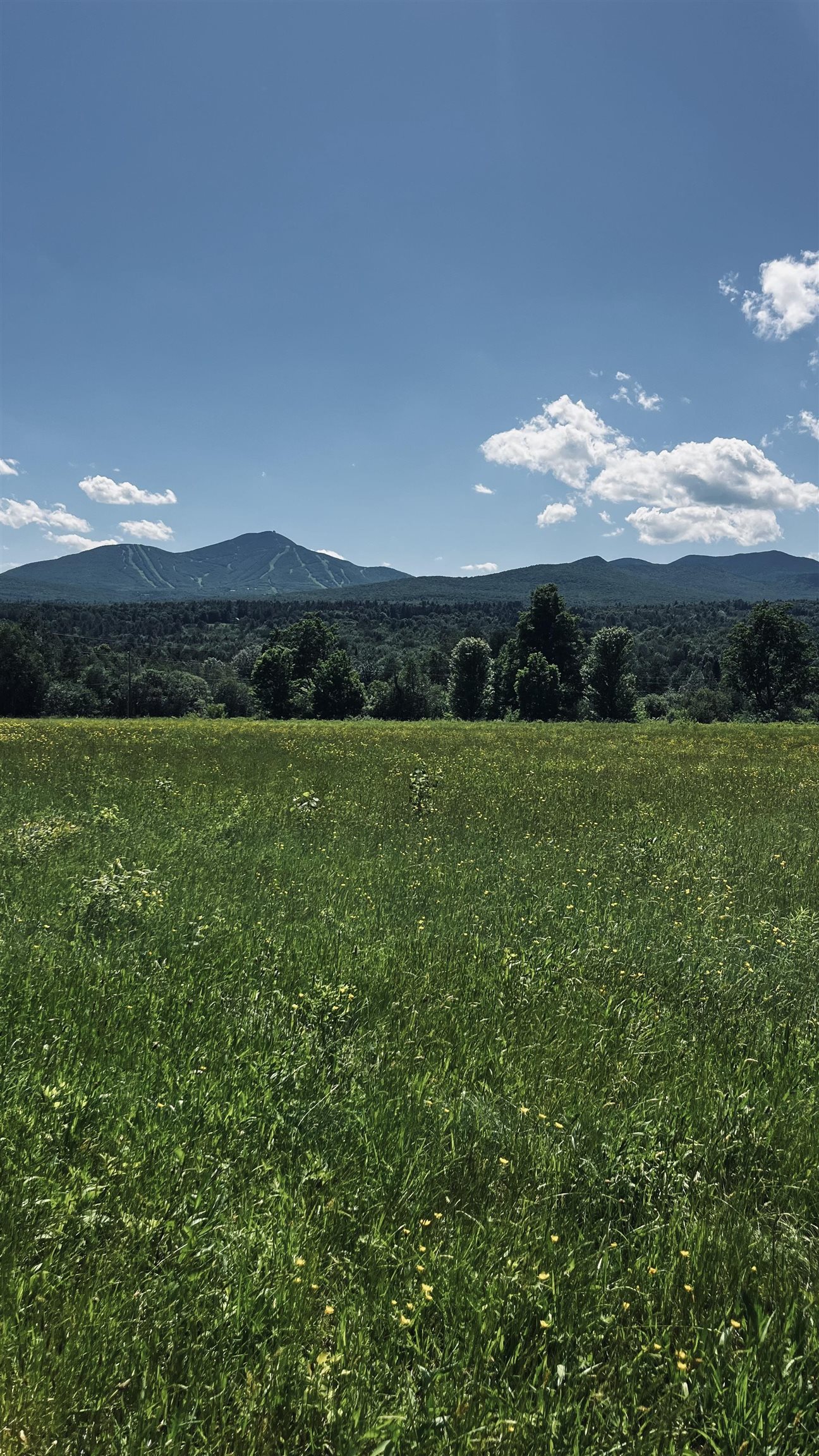 237 Loop Road Jay, VT 05859 - Photo 15 of 34