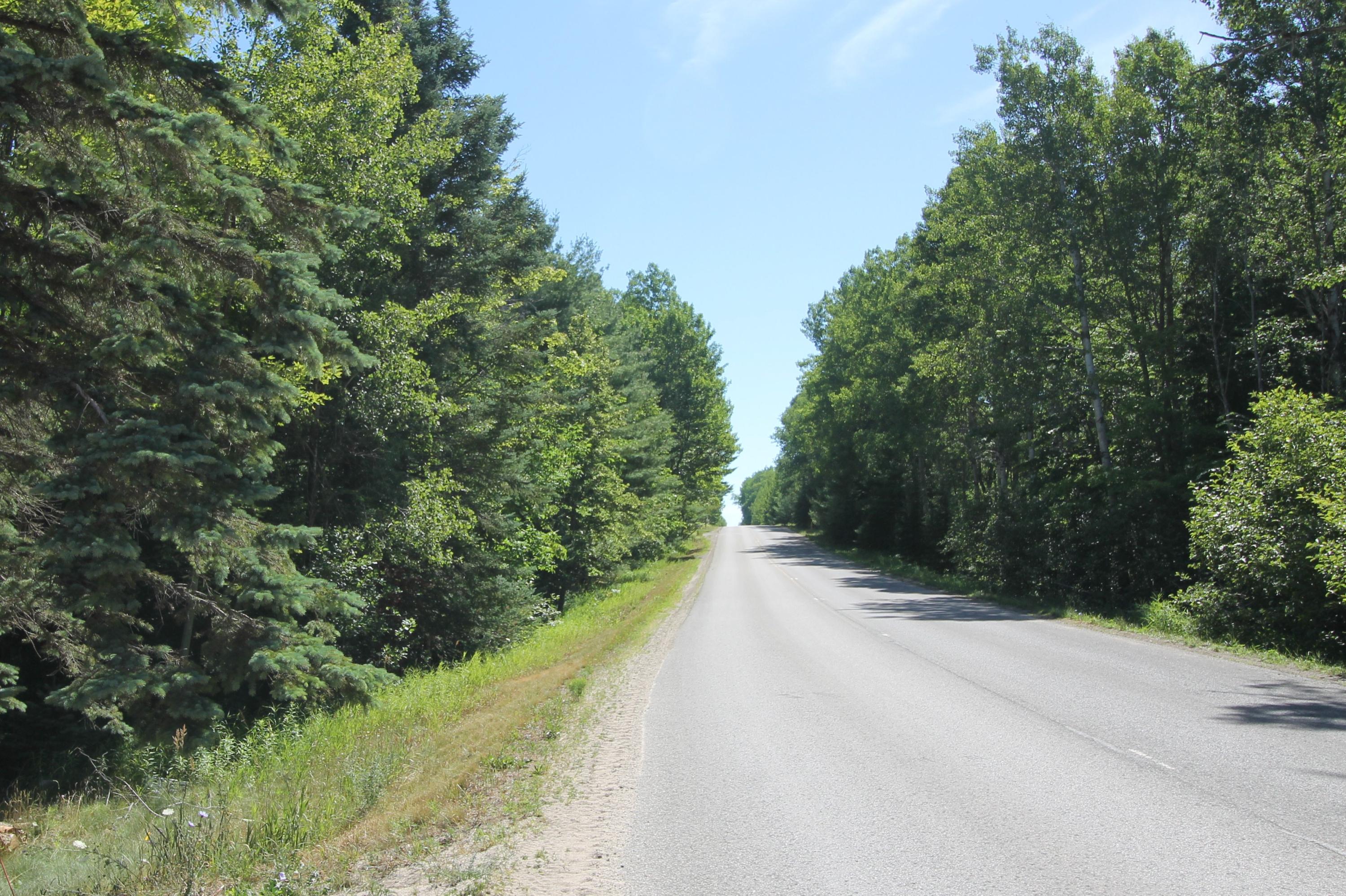 3634 Lance Lake Road Wolverine, MI 49799 - Photo 20 of 23 Gallery Image 20