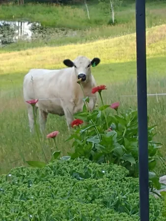 $849,900 | 15015 Held Circle, Cold Spring, MN 56320