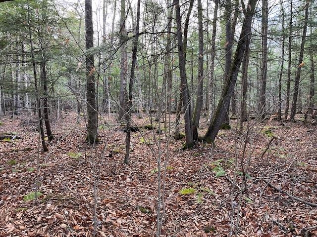 0 Gould Road Chester, VT 05143 - Photo 2 of 9