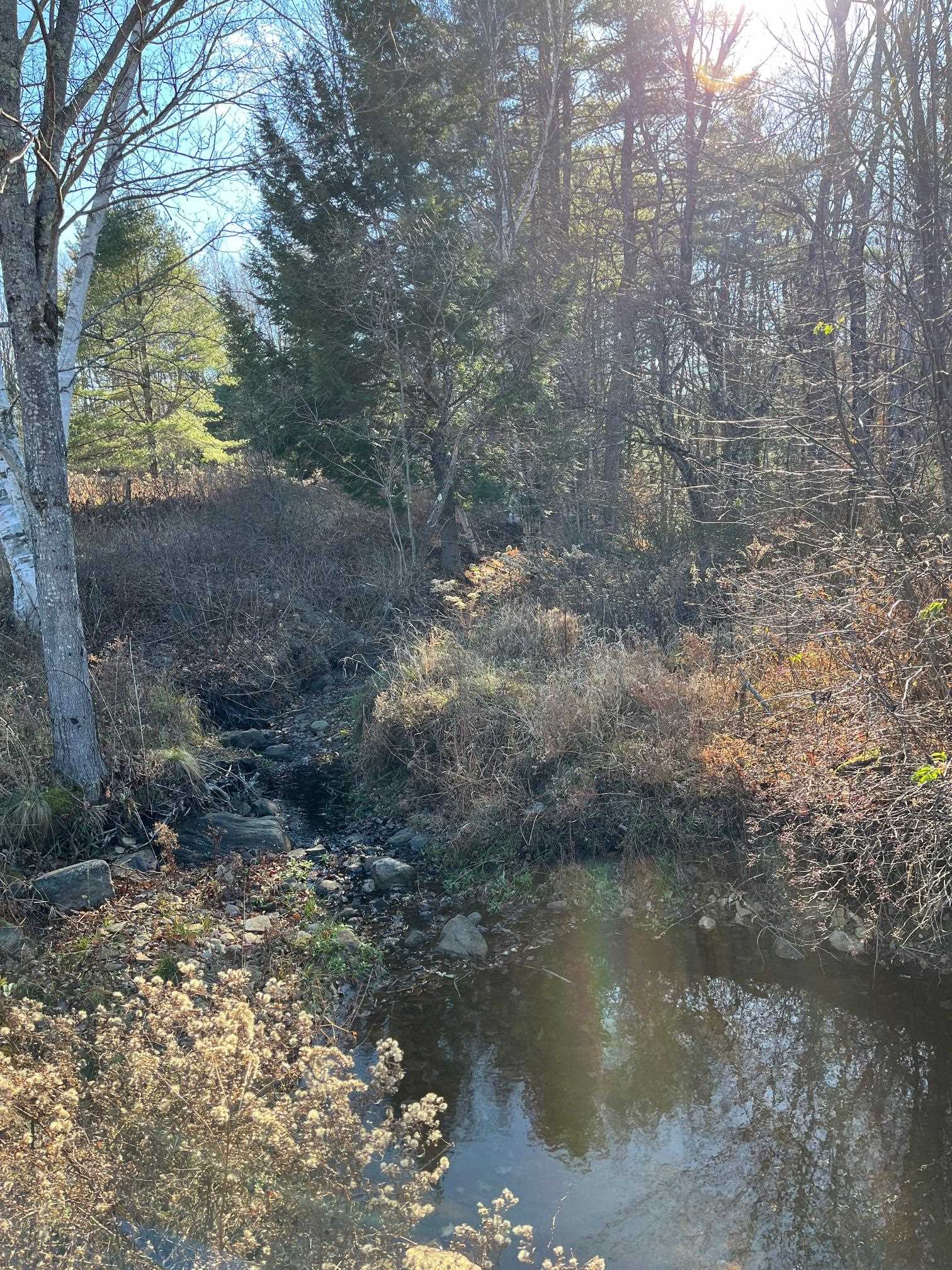0 Gould Road Chester, VT 05143 - Photo 6 of 9