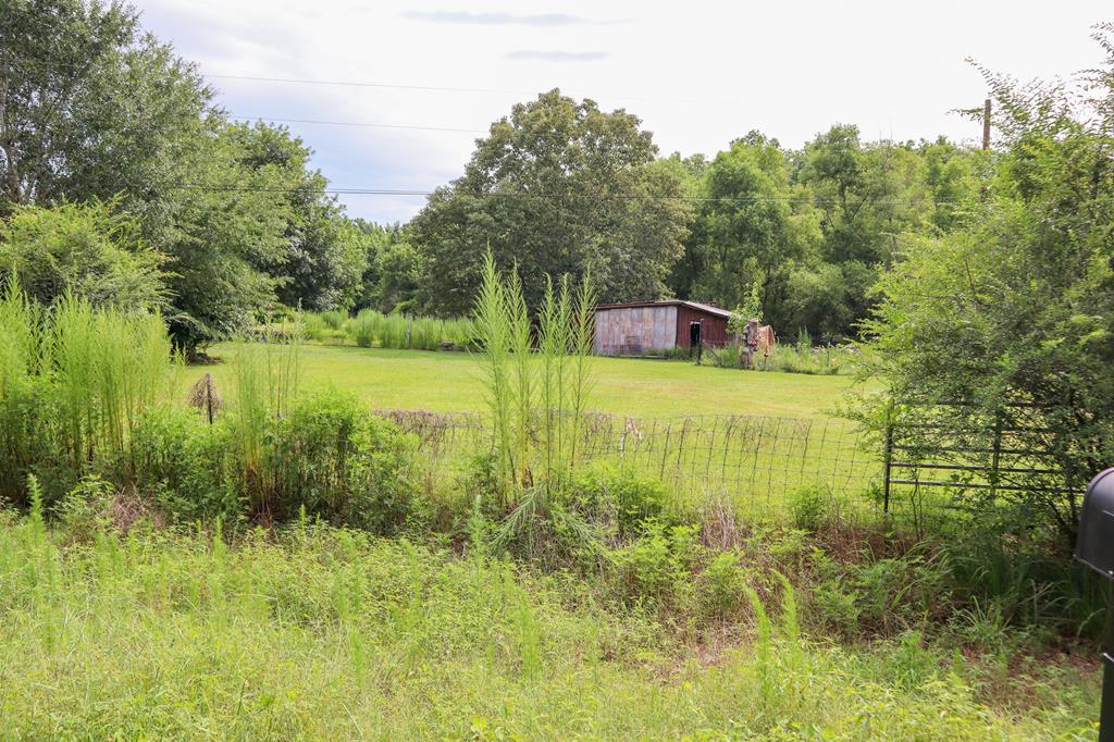 0 Watson Bridge Road Dothan, AL 36303 - Photo 4 of 9