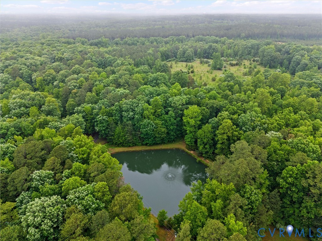 10130 Coalboro Road Chesterfield, VA 23838 - Photo 50 of 77