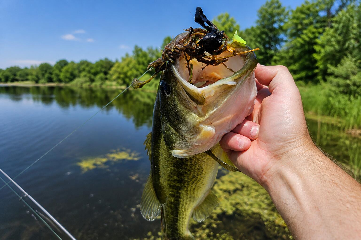 6270 Mack Road Howell, MI 48855 - Photo 78 of 83 Fish 1