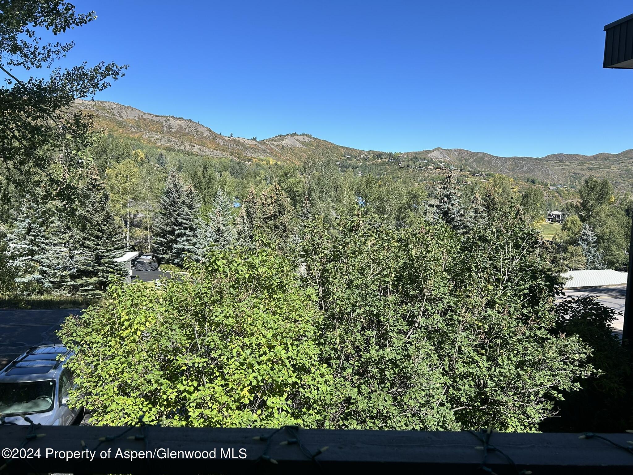 330 Meadow Ranch Road, Unit C22 Snowmass Village, CO 81615 - Photo 20 of 23 IMG_5334