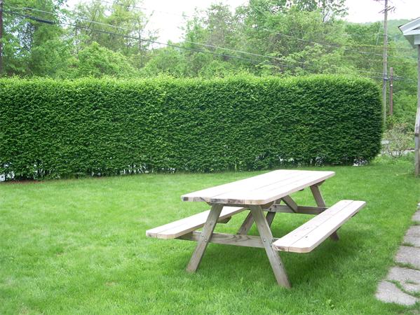 315 Woronoco Road Russell, MA 01071 - Photo 5 of 26