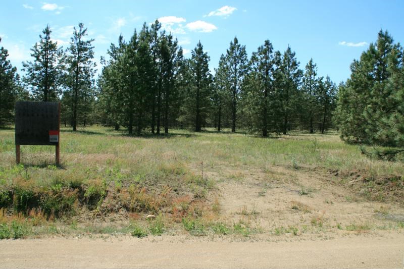 Lot 17 North Bruce Road Chattaroy, WA 99003 - Photo 1 of 6 Gallery Image 1
