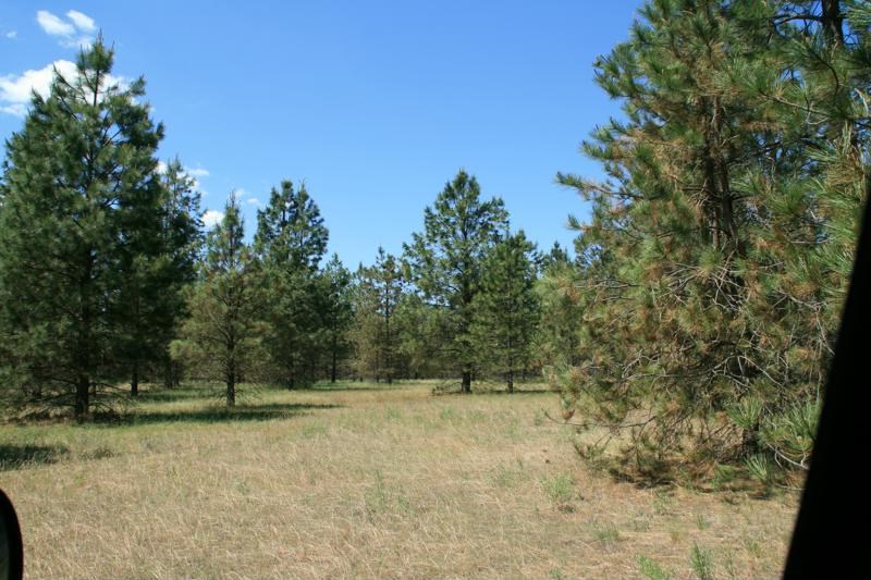 Lot 17 North Bruce Road Chattaroy, WA 99003 - Photo 6 of 6 Gallery Image 6