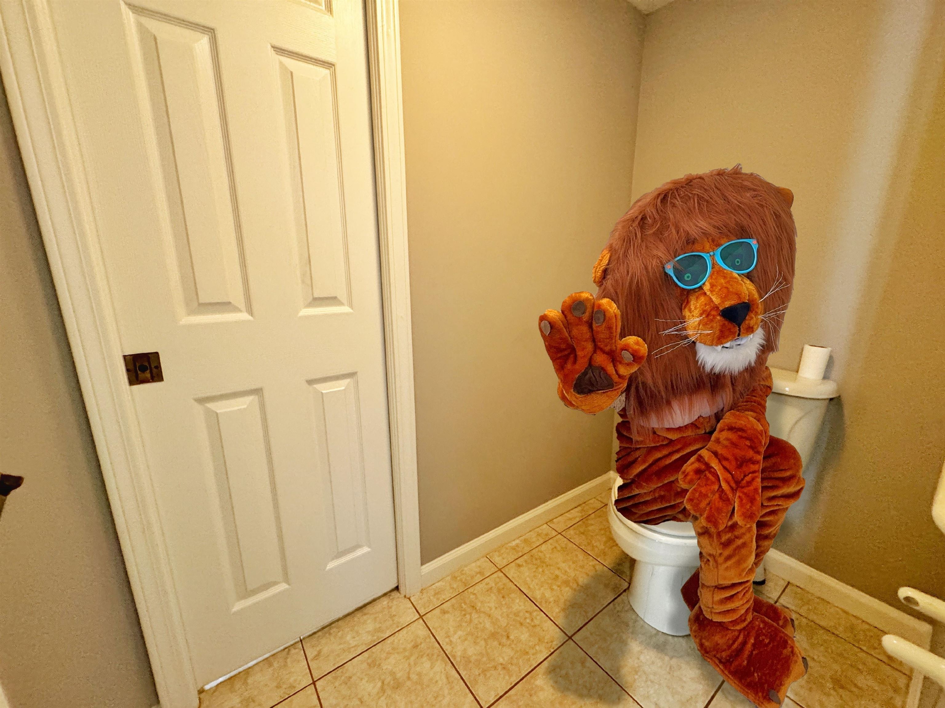 3208 Haley Pointe Road St. Augustine, FL 32084 - Photo 23 of 41