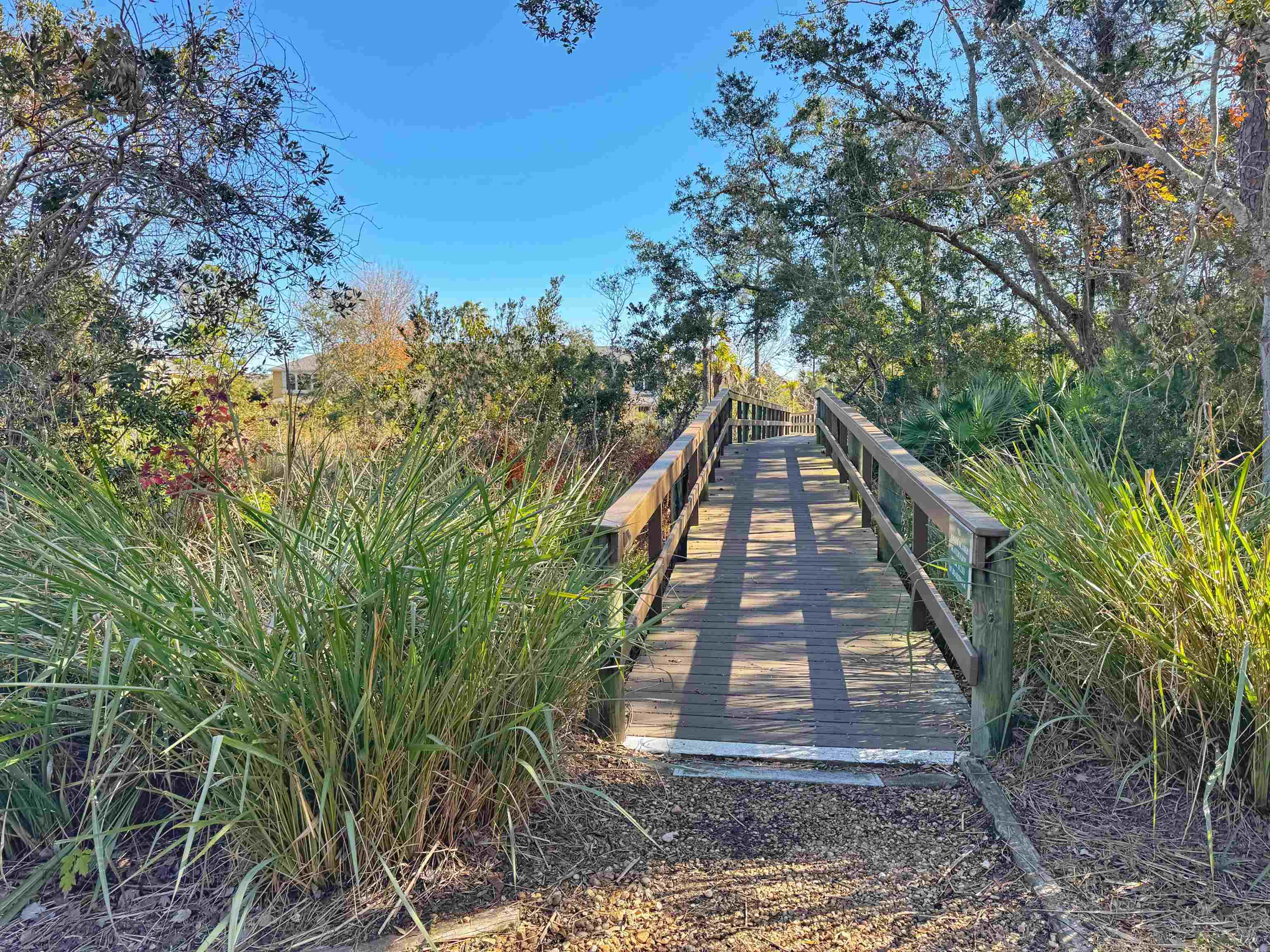 3208 Haley Pointe Road St. Augustine, FL 32084 - Photo 40 of 41