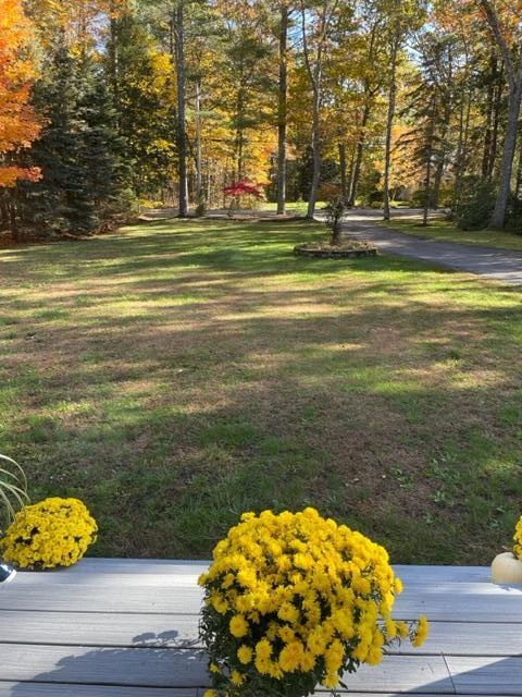62 Park Road Windham, ME 04062 - Photo 39 of 61 65722020279__C6EA9F84-1AFA-4255-B06C-D78
