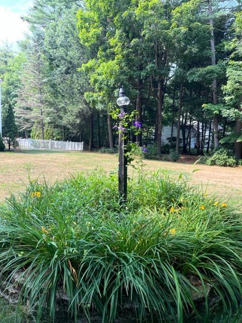62 Park Road Windham, ME 04062 - Photo 52 of 61 IMG_0196 (1)