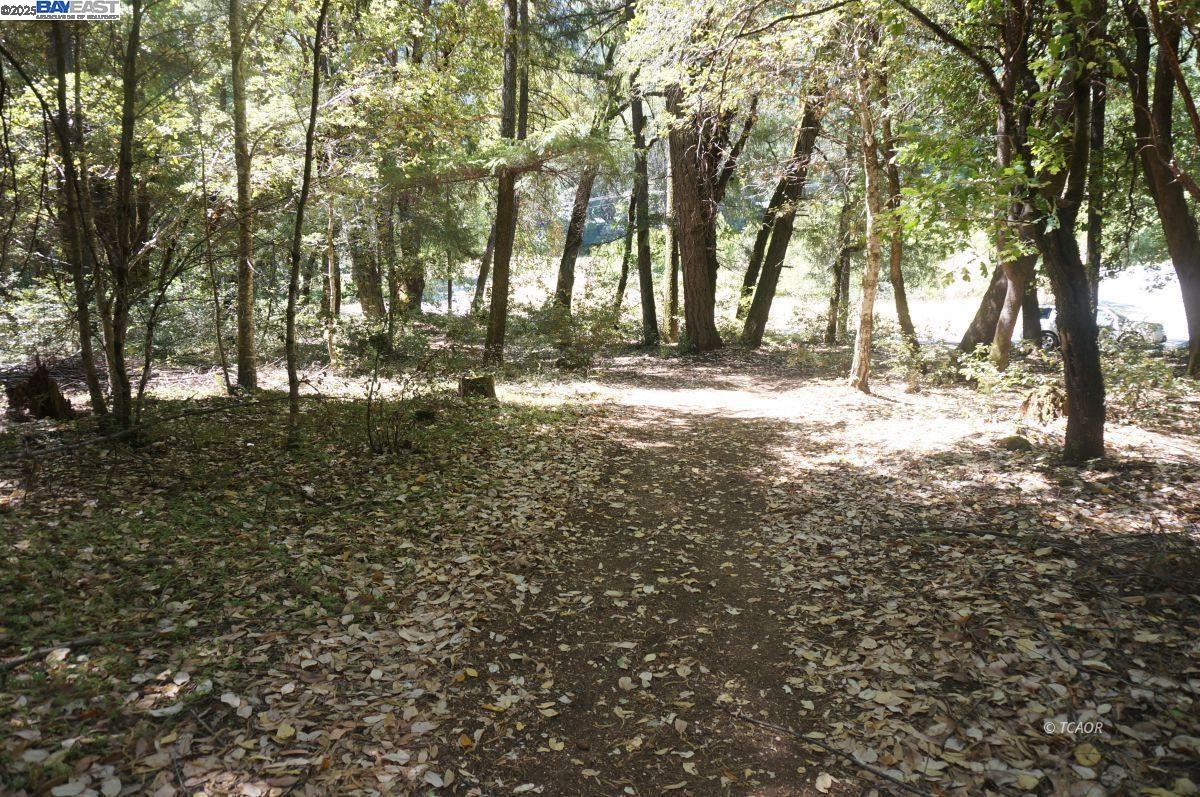 30 West Suzy Q Road Salyer, CA 95563 - Photo 6 of 8 a view of yard