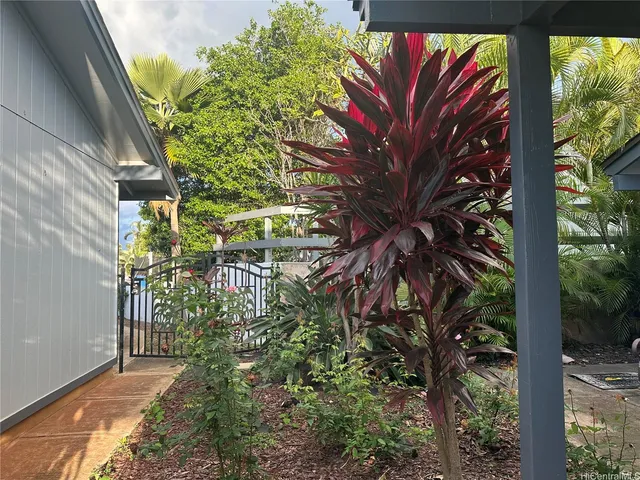 a view of a house with a tree