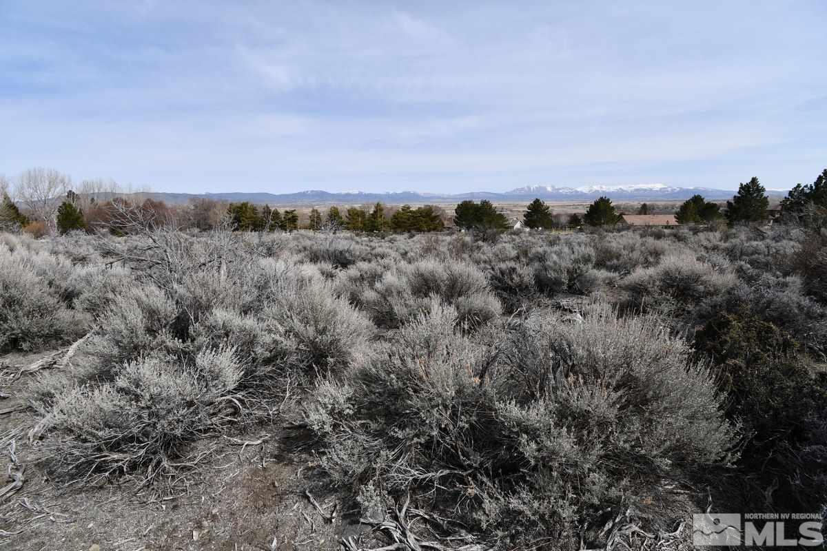 2463 Eagle Ridge Road, Unit 55 Genoa, NV 89411 - Photo 3 of 14 Photo 3