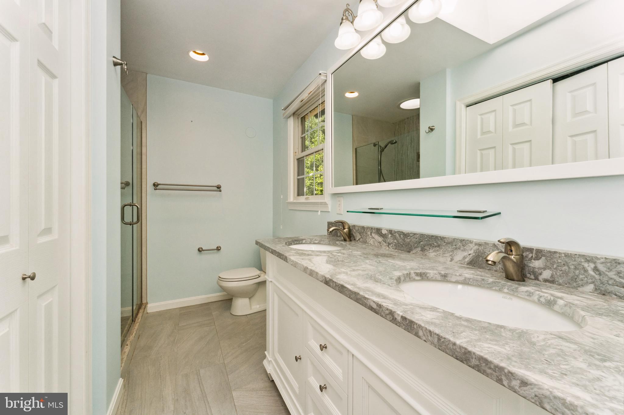 1326 Canyon Road Silver Spring, MD 20904 - Photo 11 of 21 Primary bath with skylight