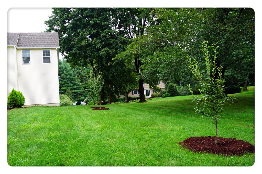 10 Patriots Road Acton, MA 01720 - Photo 20 of 21 Gallery Image 20