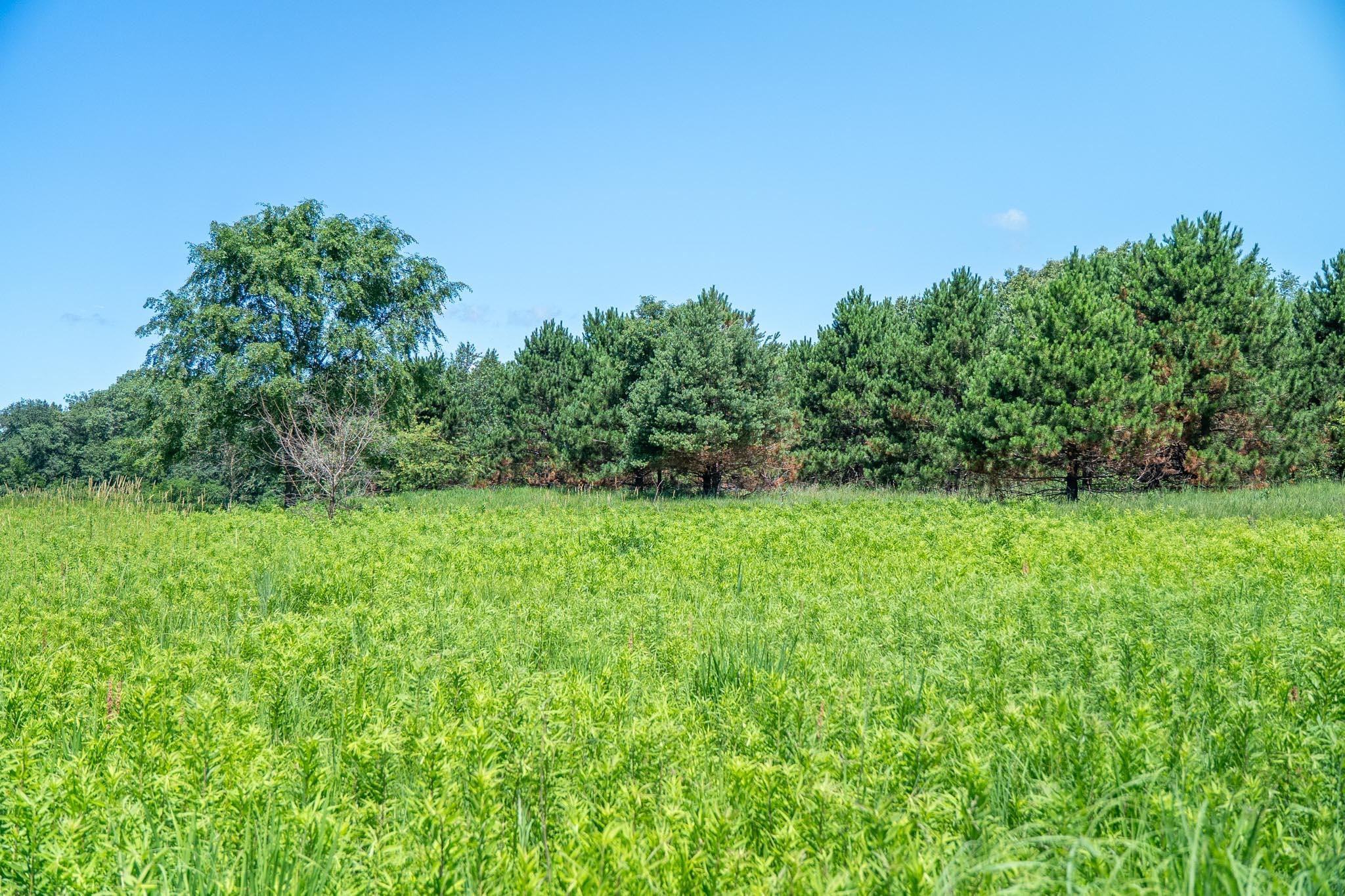 0 Inlet Road Amboy, IL 61310 - Photo 76 of 83