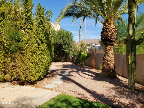 a view of a backyard with a garden