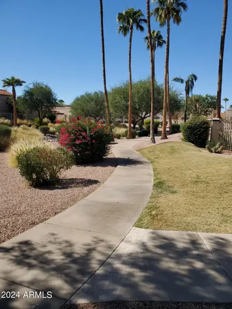 a view of a lake with a yard and palm trees