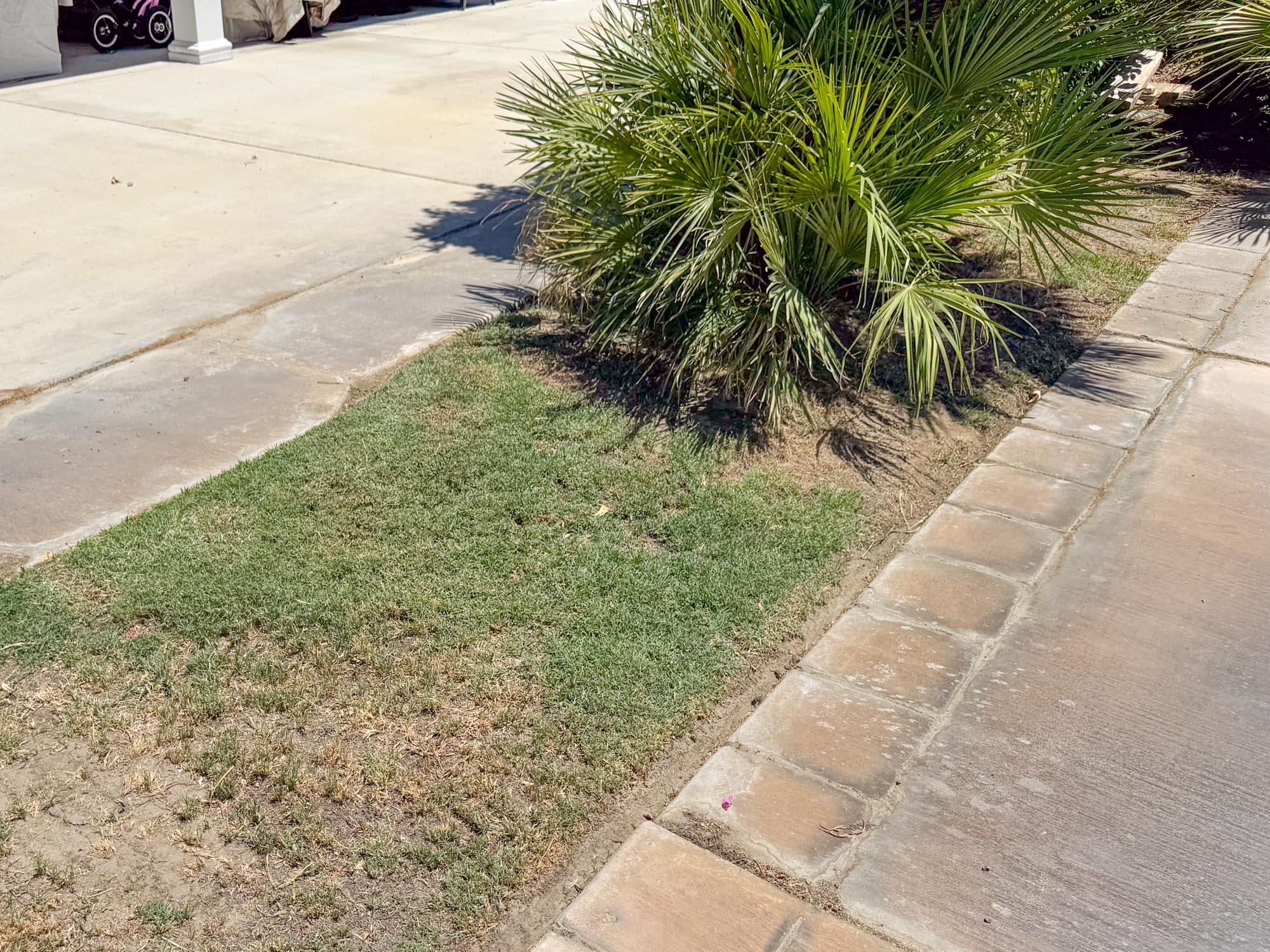 80394 Ave 48, Unit 423 Indio, CA 92201 - Photo 6 of 18 a view of a yard with plants