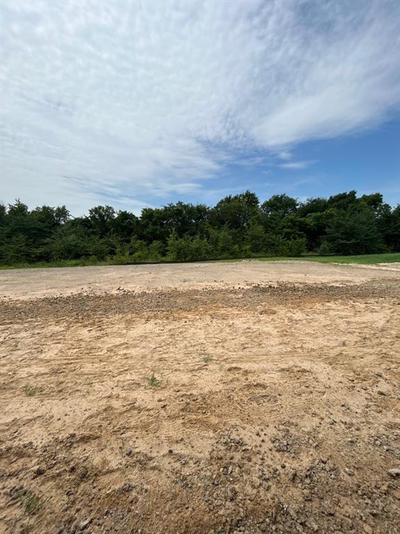 903 Perrin Lane Van Alstyne, TX 75495 - Photo 8 of 9
