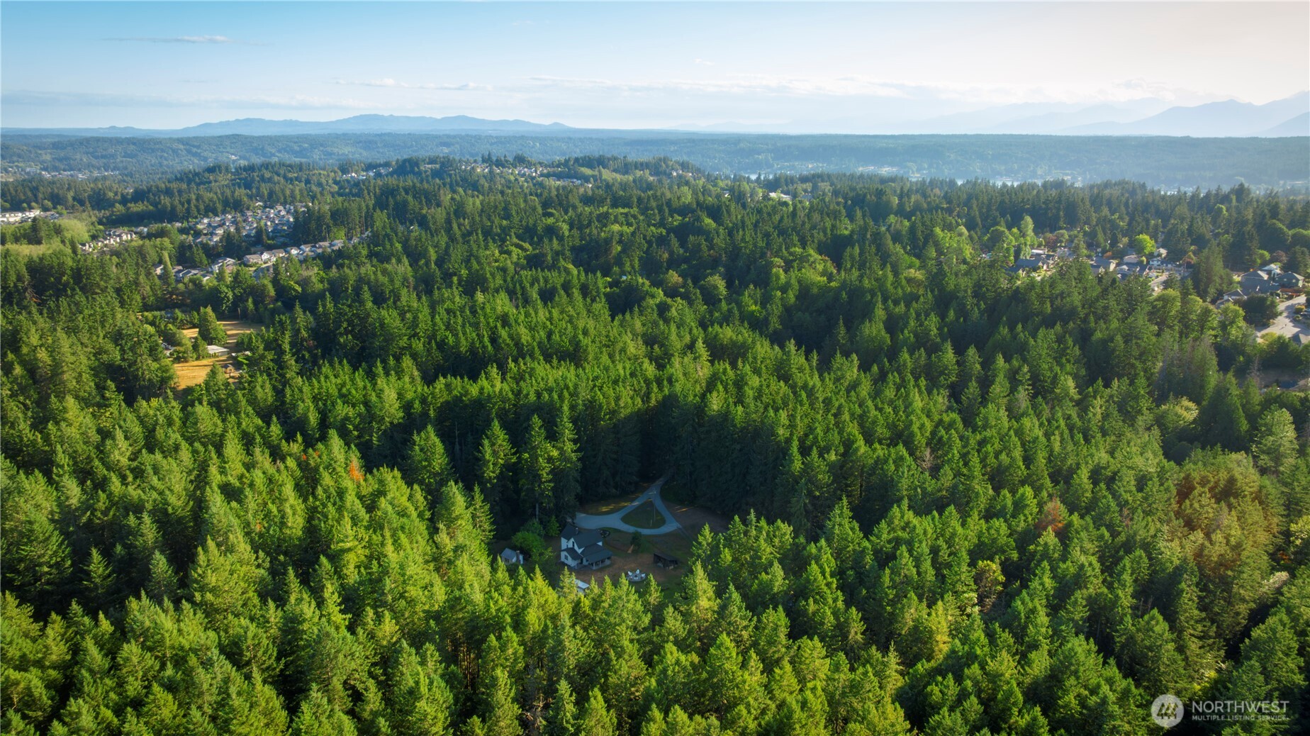 a view of a lush green forest with lush green forest