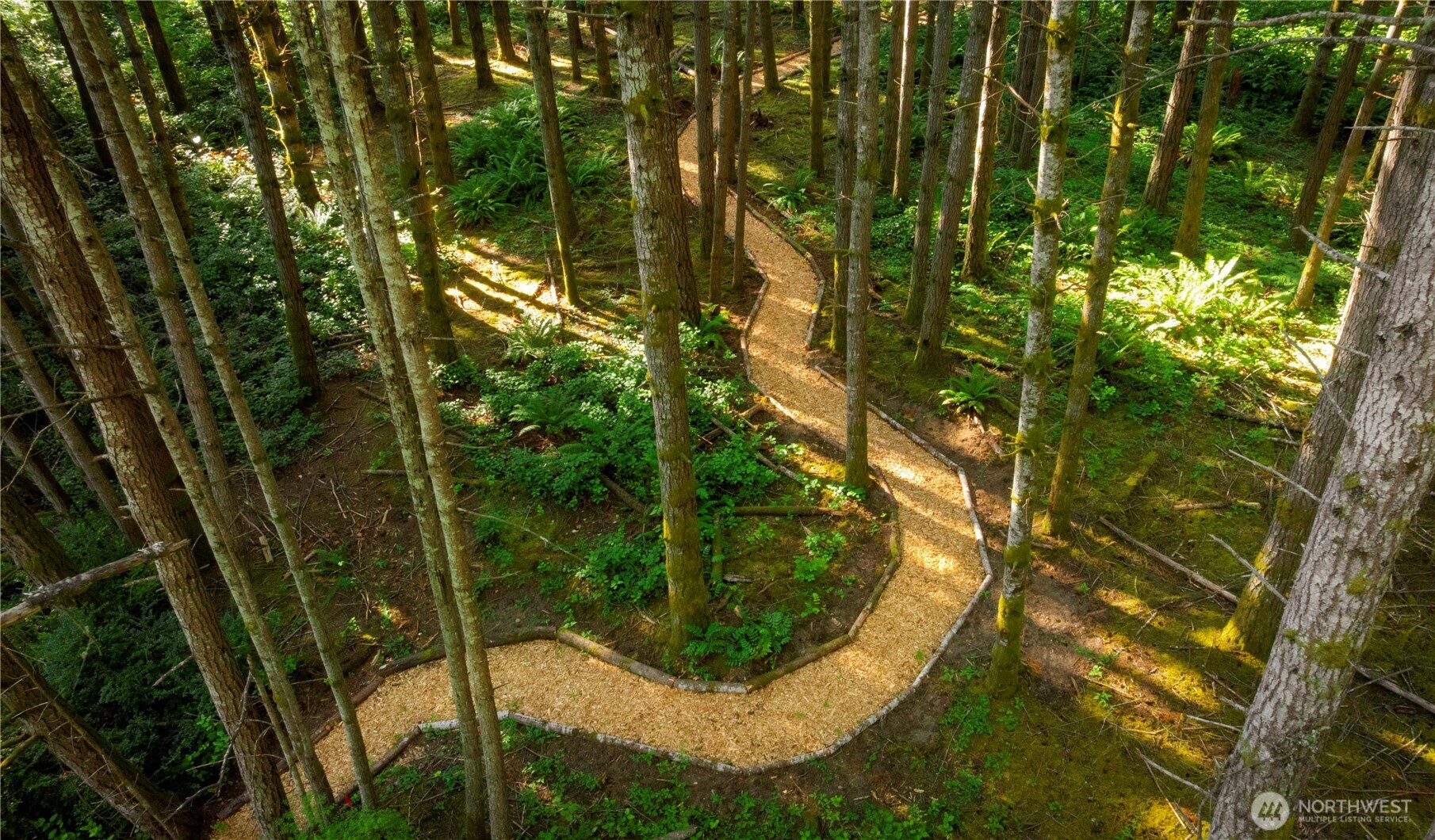 19680 Noll Road Northeast Poulsbo, WA 98370 - Photo 14 of 37 a view of a backyard