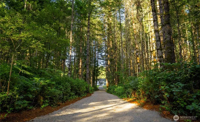 a view of backyard with green space