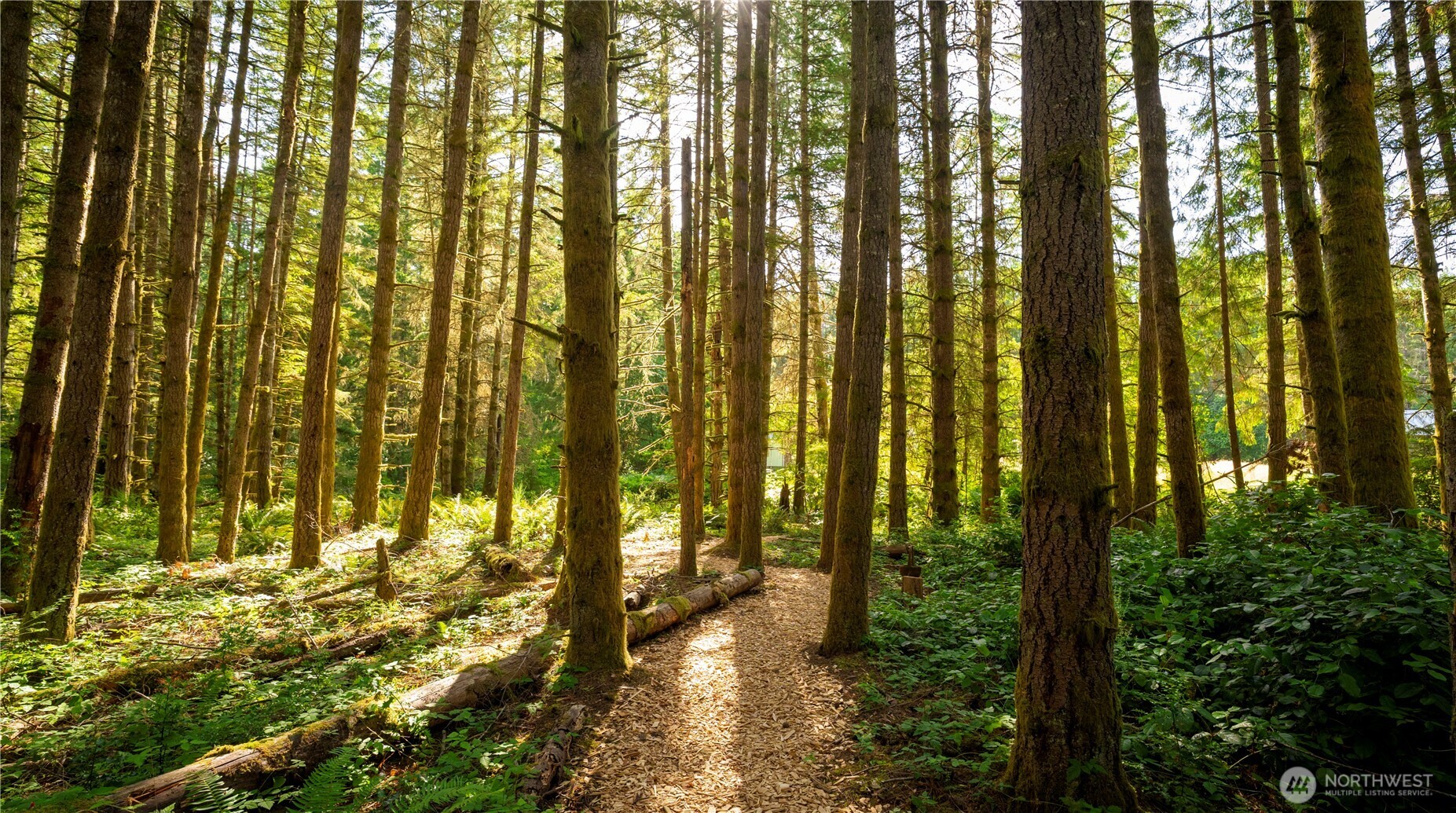 19680 Noll Road Northeast Poulsbo, WA 98370 - Photo 23 of 37 a view of swimming pool from a yard