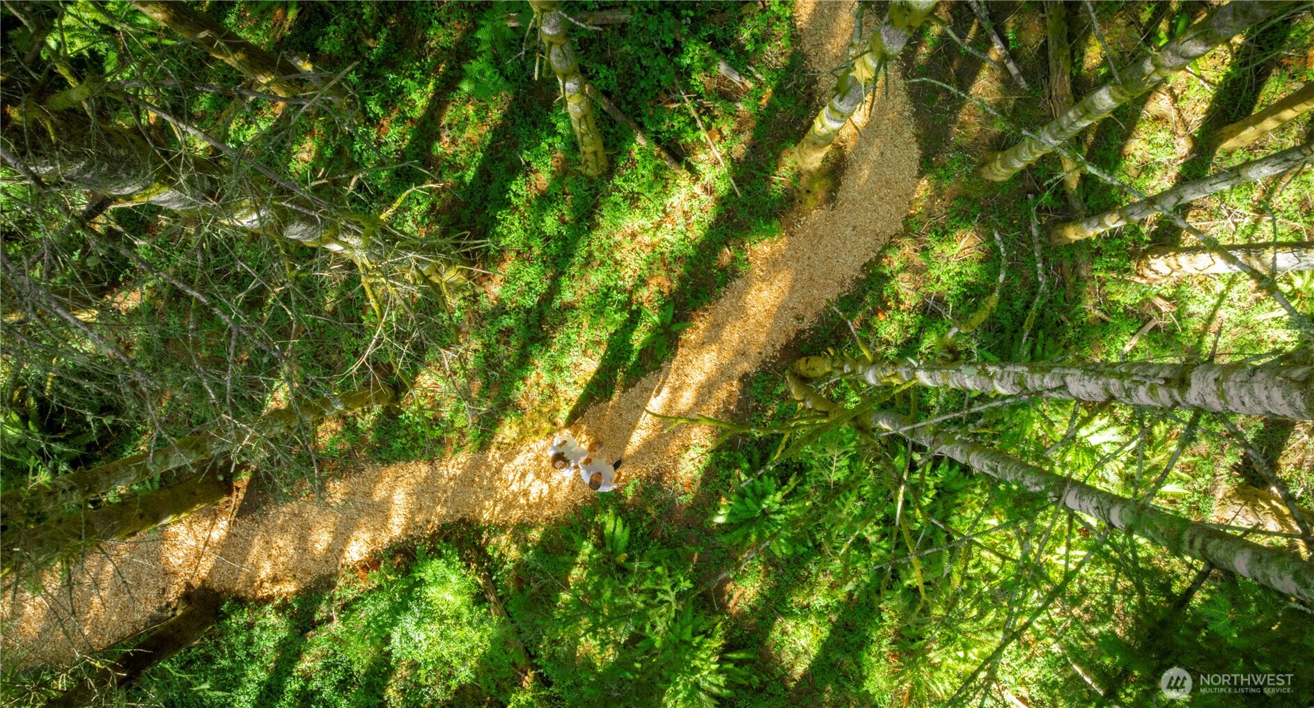 19680 Noll Road Northeast Poulsbo, WA 98370 - Photo 35 of 37 a backyard of a house with lots of green space