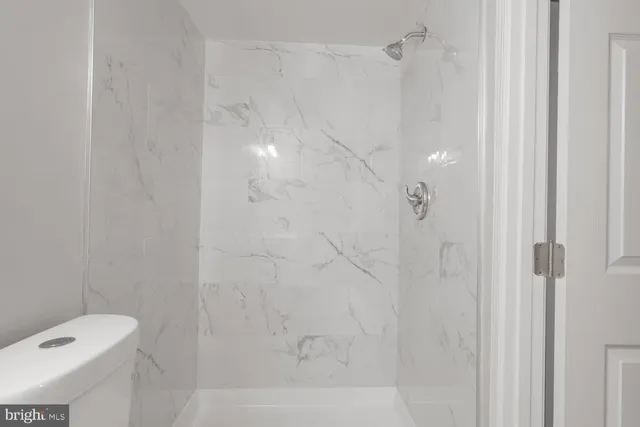 a bathroom with a shower and toilet