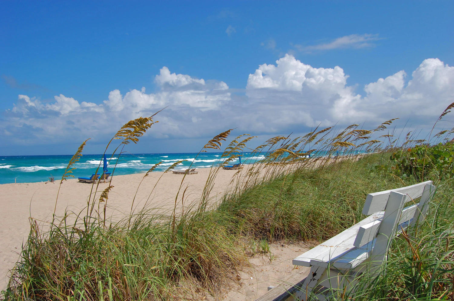 1160 Island Road Riviera Beach, FL 33404 - Photo 18 of 18 Beautiful Views