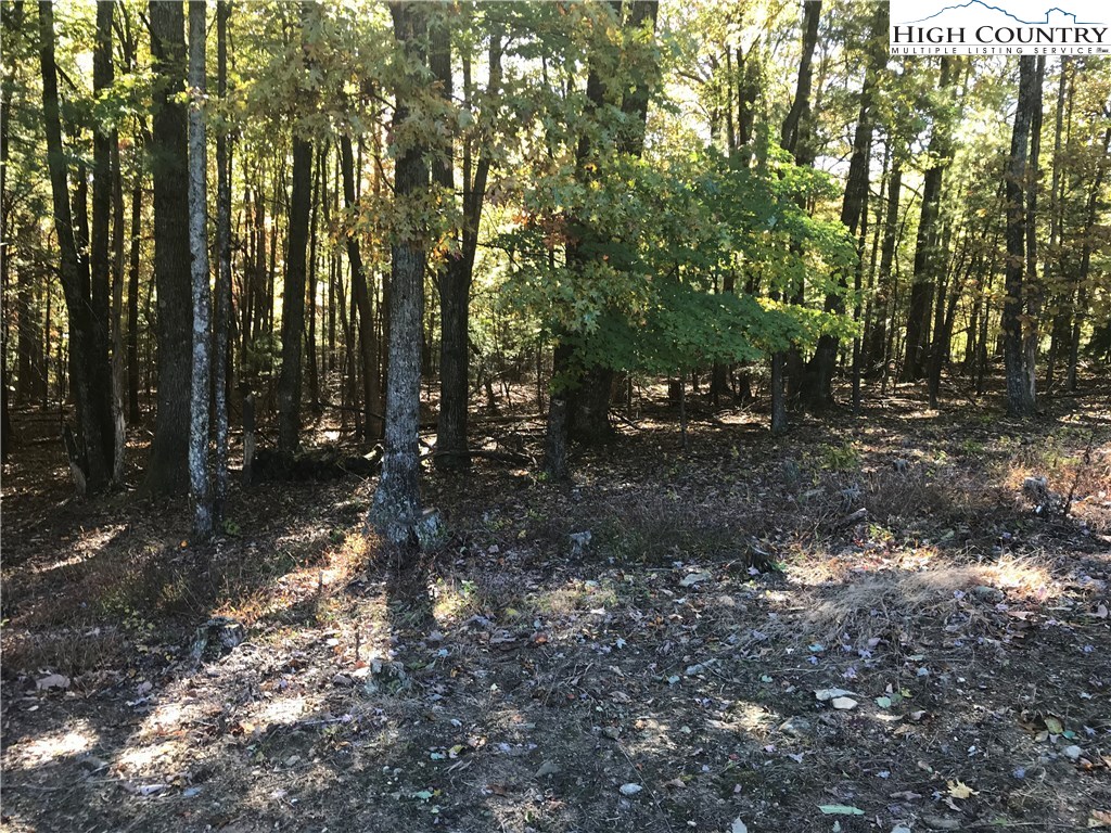 1307 Ben Miller Road Deep Gap, NC 28618 - Photo 26 of 26 a view of a forest with trees in the background