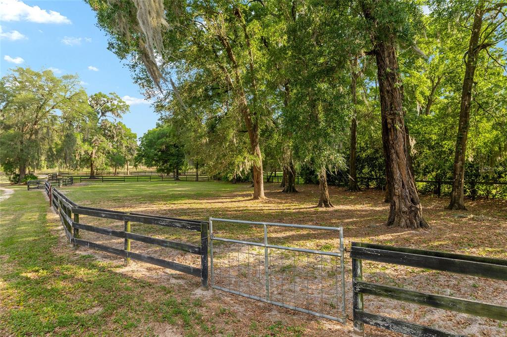 8117 Southwest 41st Place Road Ocala, FL 34481 - Photo 53 of 55