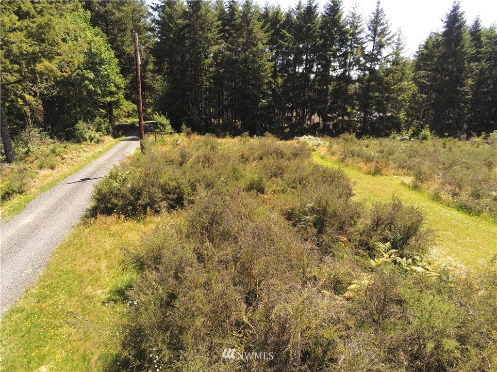250-23 Hewitt Road Chehalis, WA 98532 - Photo 11 of 11