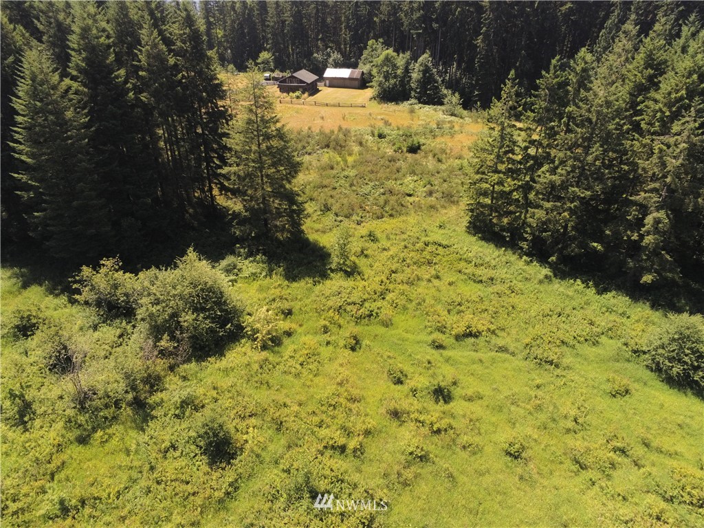250-23 Hewitt Road Chehalis, WA 98532 - Photo 9 of 11