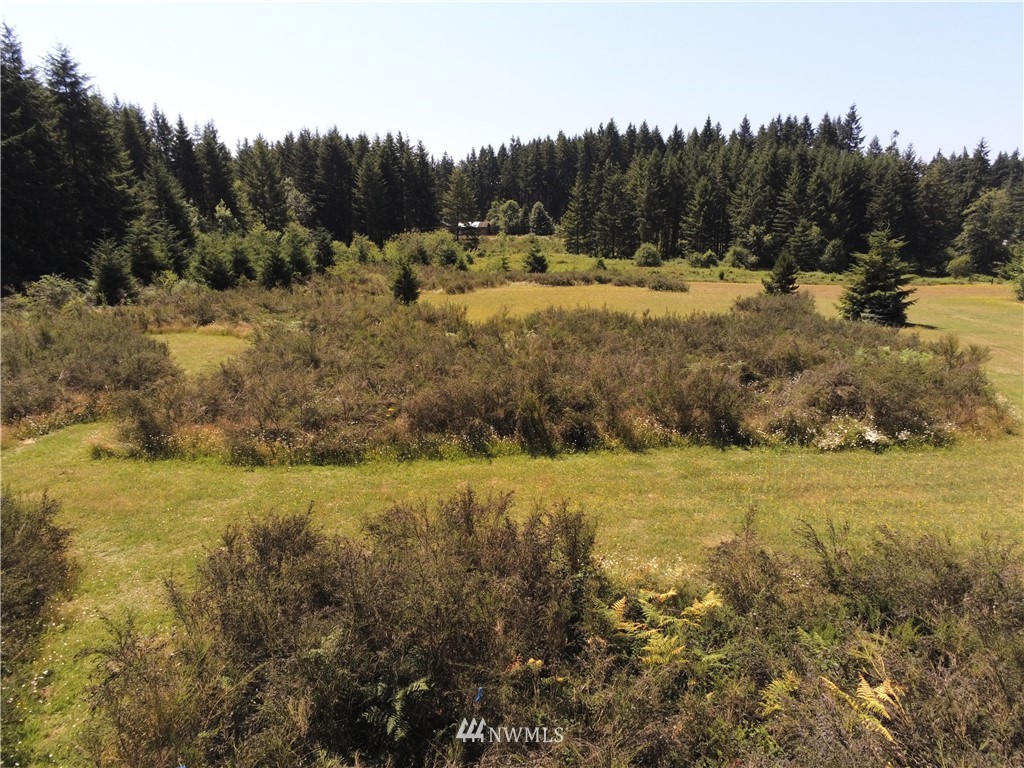 250-23 Hewitt Road Chehalis, WA 98532 - Photo 10 of 11