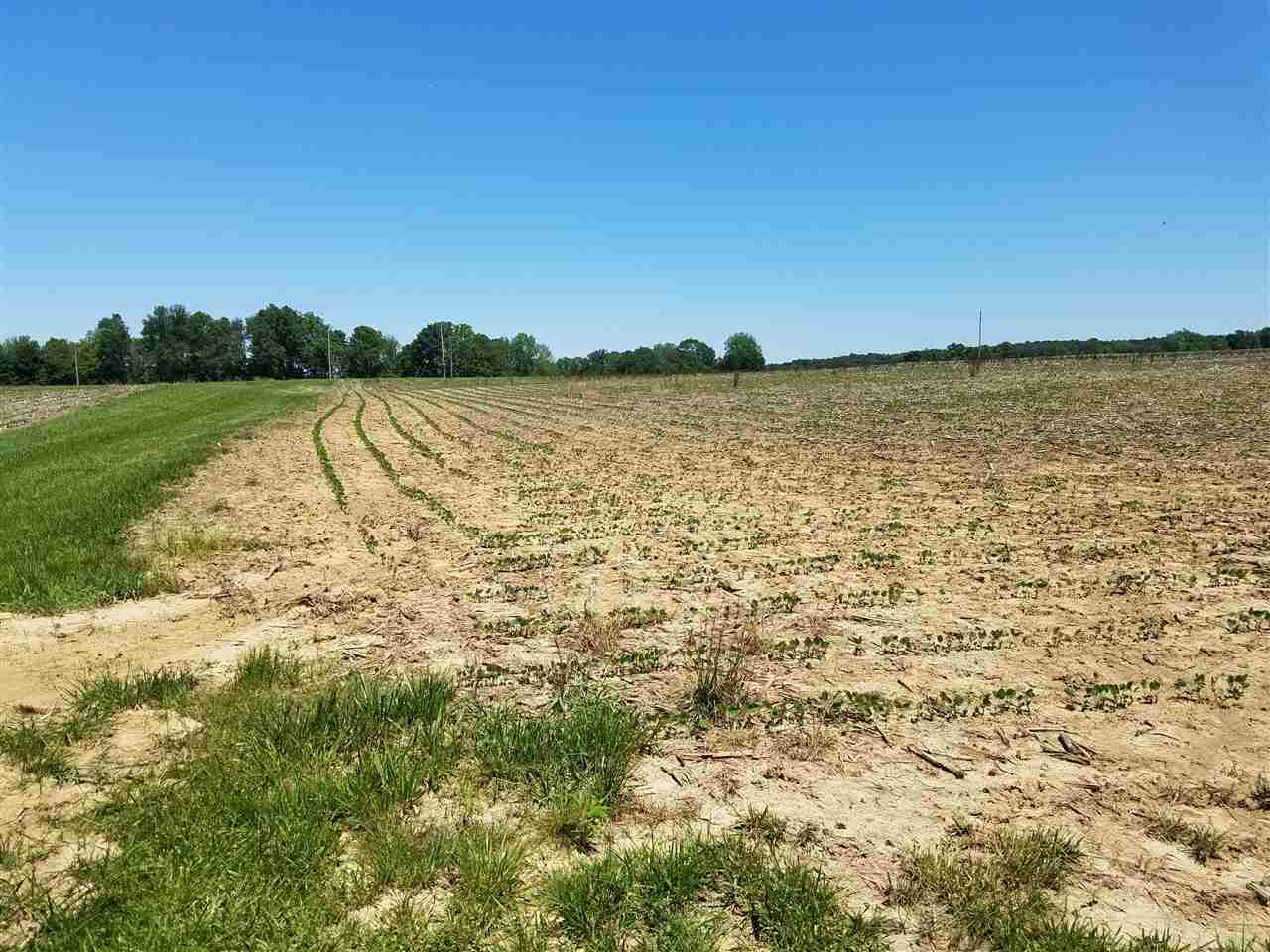 640 County Road Connersville, IN 47331 - Photo 4 of 10