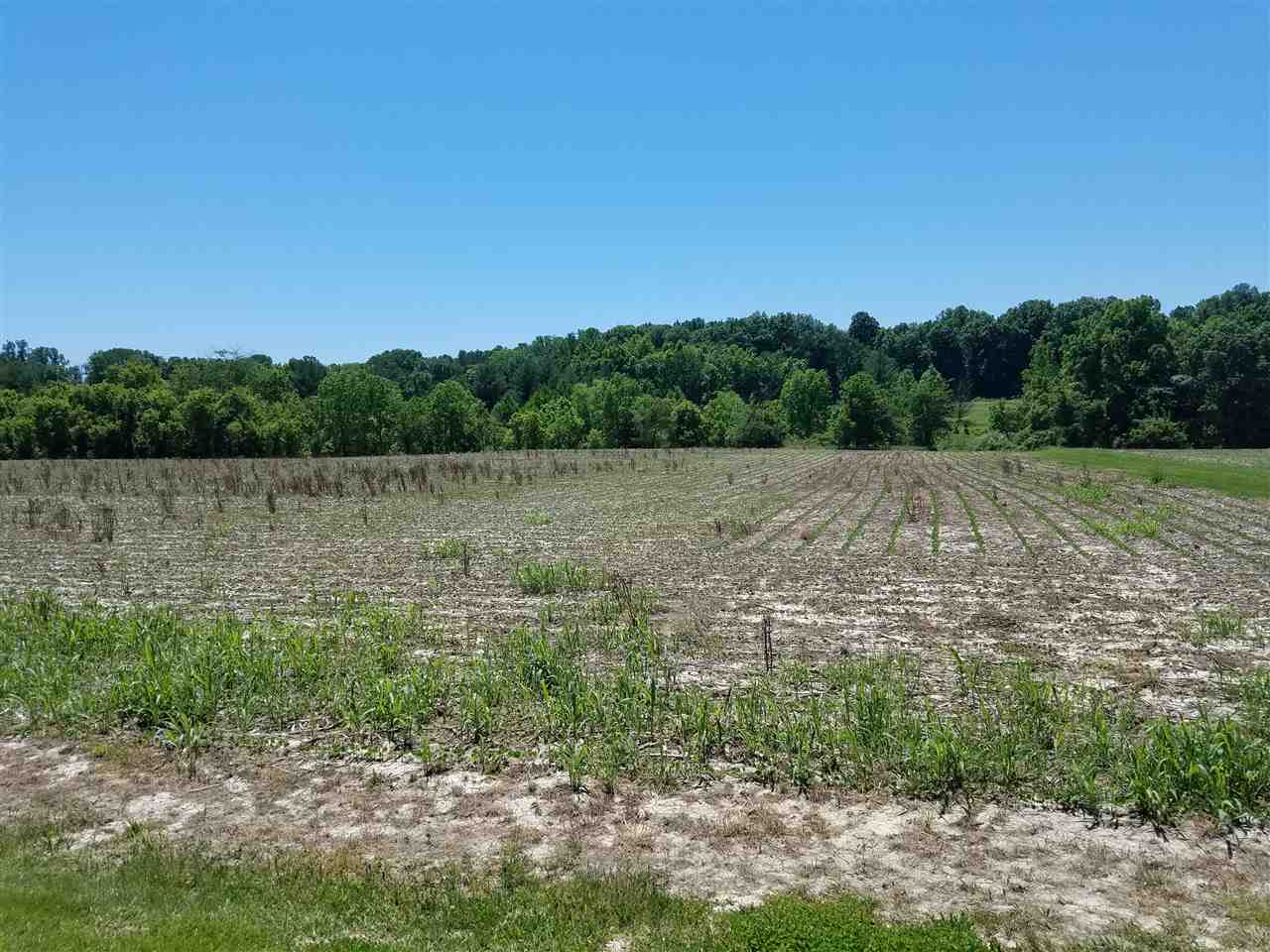 640 County Road Connersville, IN 47331 - Photo 6 of 10
