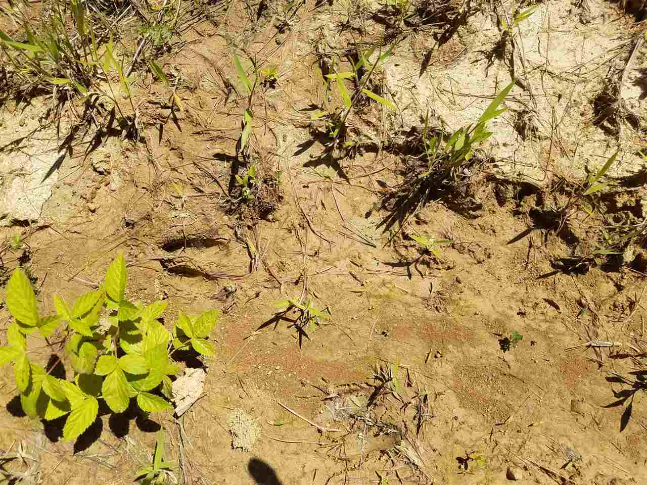 640 County Road Connersville, IN 47331 - Photo 7 of 10