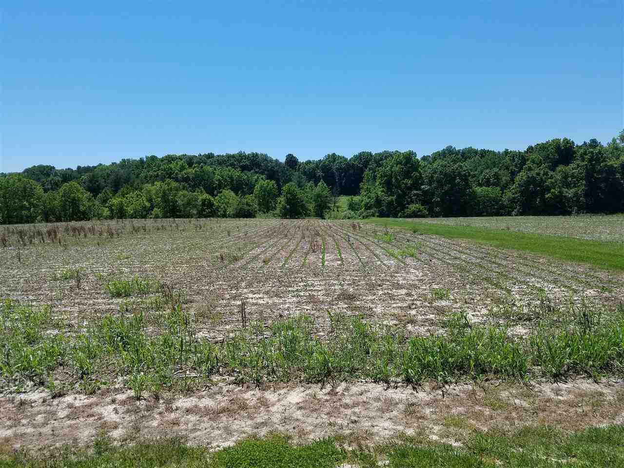 640 County Road Connersville, IN 47331 - Photo 8 of 10