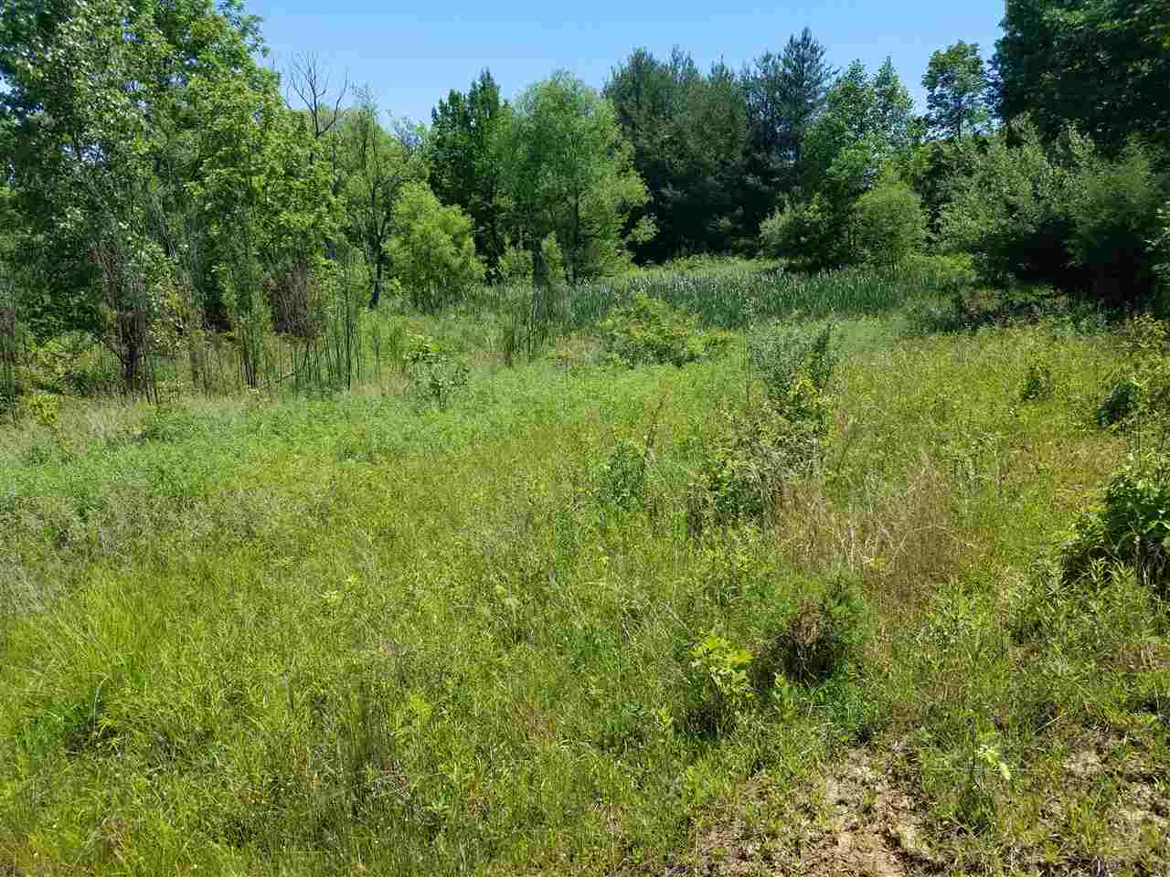 640 County Road Connersville, IN 47331 - Photo 9 of 10