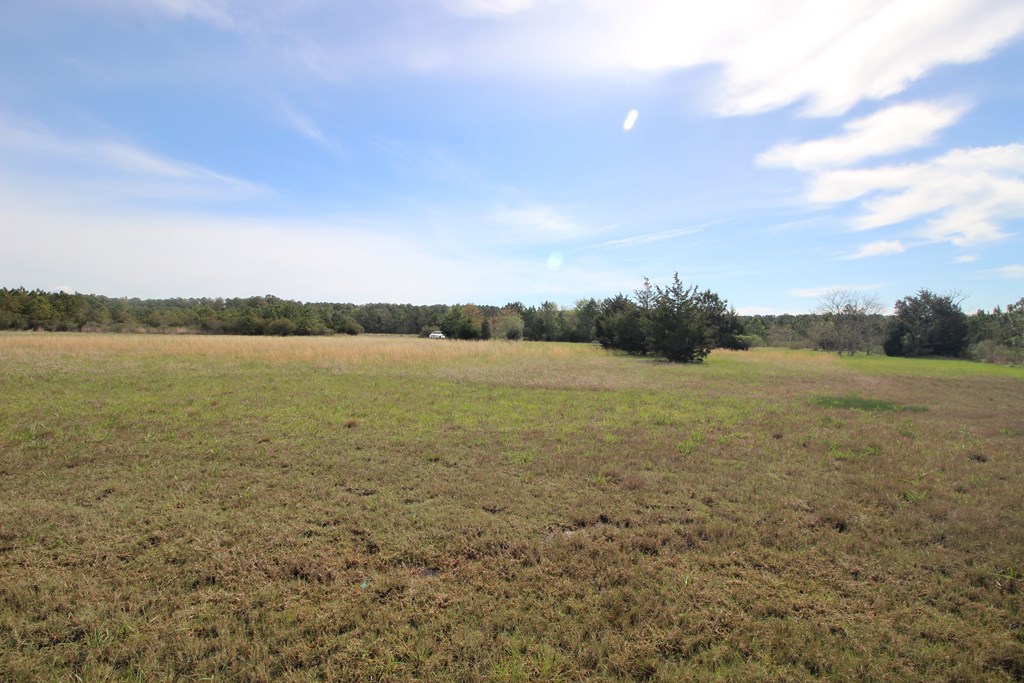 9 Mink Farm Road, Unit 9 Onancock, VA 23417 - Photo 3 of 3