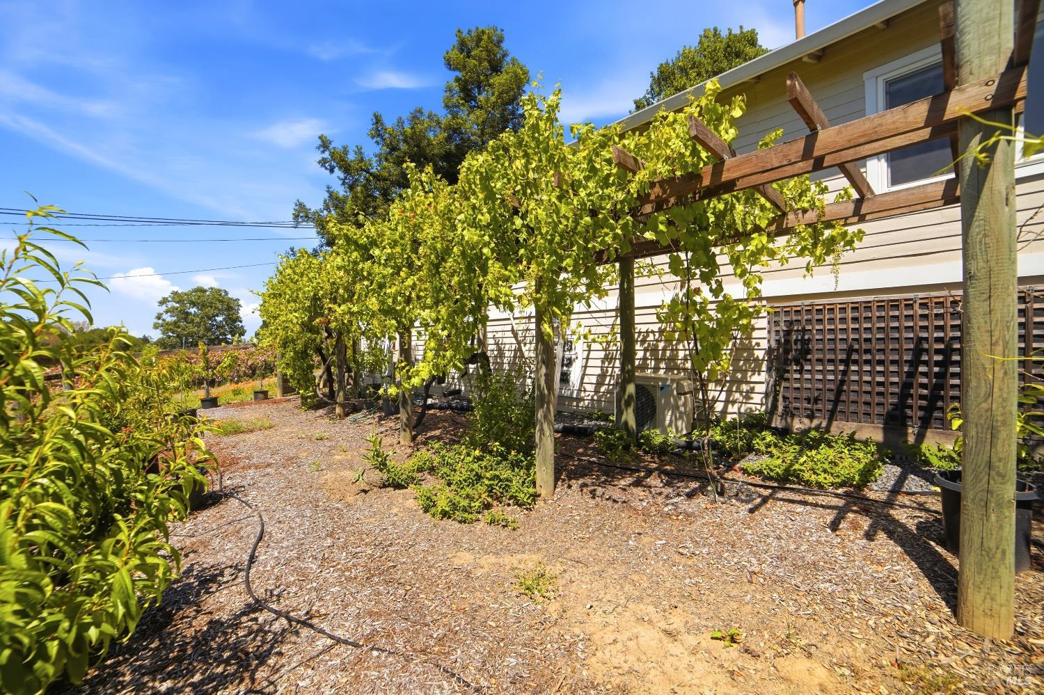 7695 Atkinson Road Sebastopol, CA 95472 - Photo 38 of 40