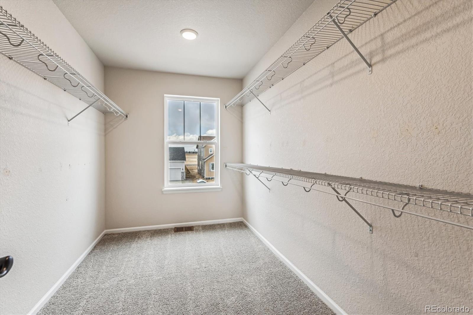 987 Rustling Street Windsor, CO 80550 - Photo 16 of 22 Gallery Image 16