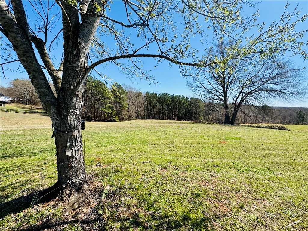 212 Holland Ford Road Pelzer, SC 29669 - Photo 26 of 46 Side Pasture