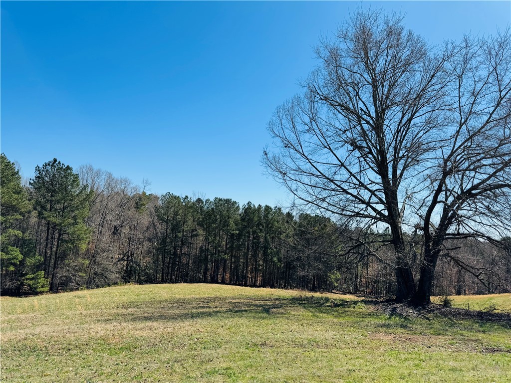 212 Holland Ford Road Pelzer, SC 29669 - Photo 27 of 46 Side Pasture