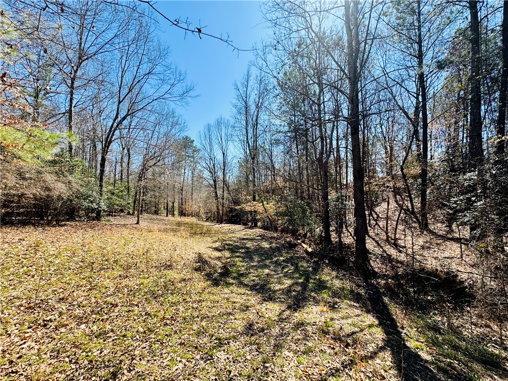 212 Holland Ford Road Pelzer, SC 29669 - Photo 43 of 46 Woodland Area