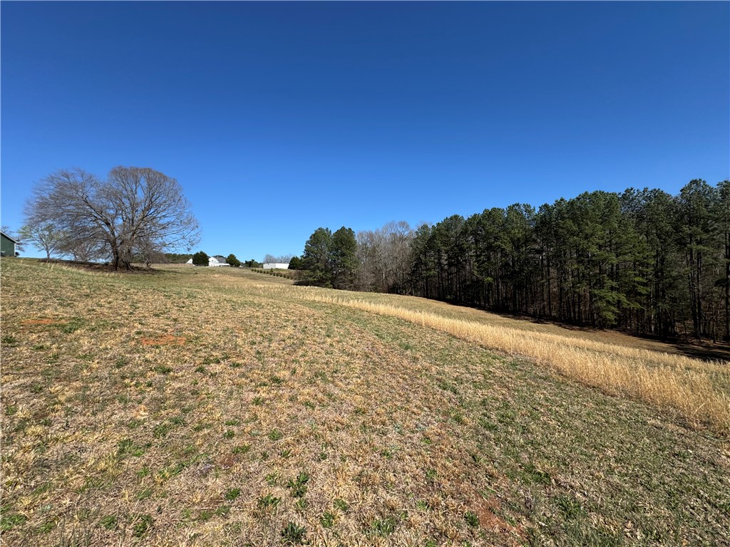212 Holland Ford Road Pelzer, SC 29669 - Photo 45 of 46 Pasture